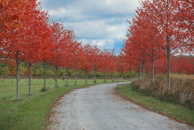 Image of Flight 93 National Memorial